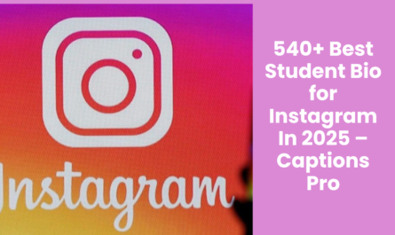 540+ Best Student Bio for Instagram In 2025 – Captions Pro